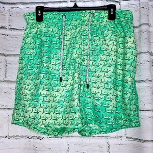 Islandhaze green swordfish swim trunks large